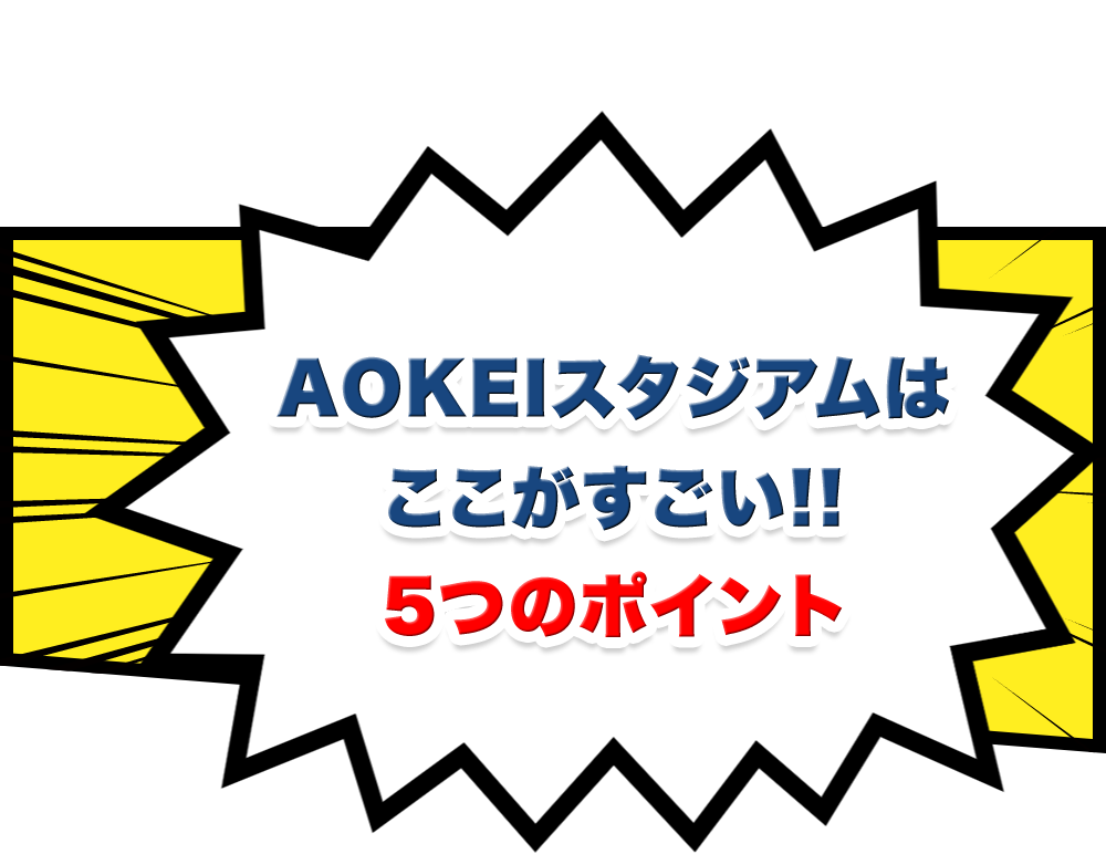 AOKEIスタジアムはここがすごい！5つのポイント