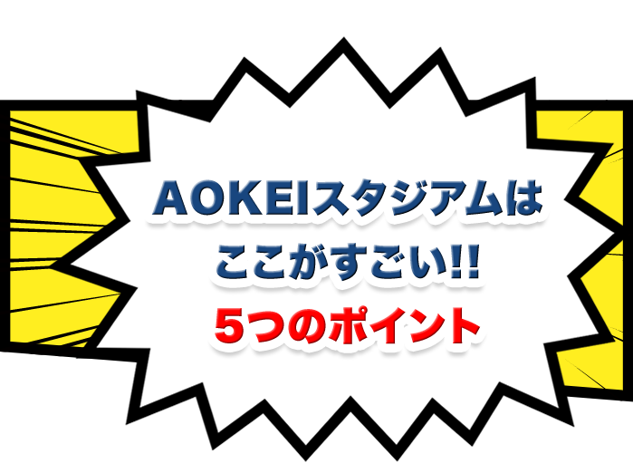 AOKEIスタジアムはここがすごい！5つのポイント