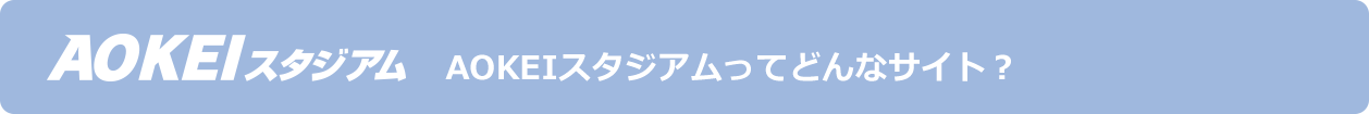 AOKEIスタジアムってどんなサイト？